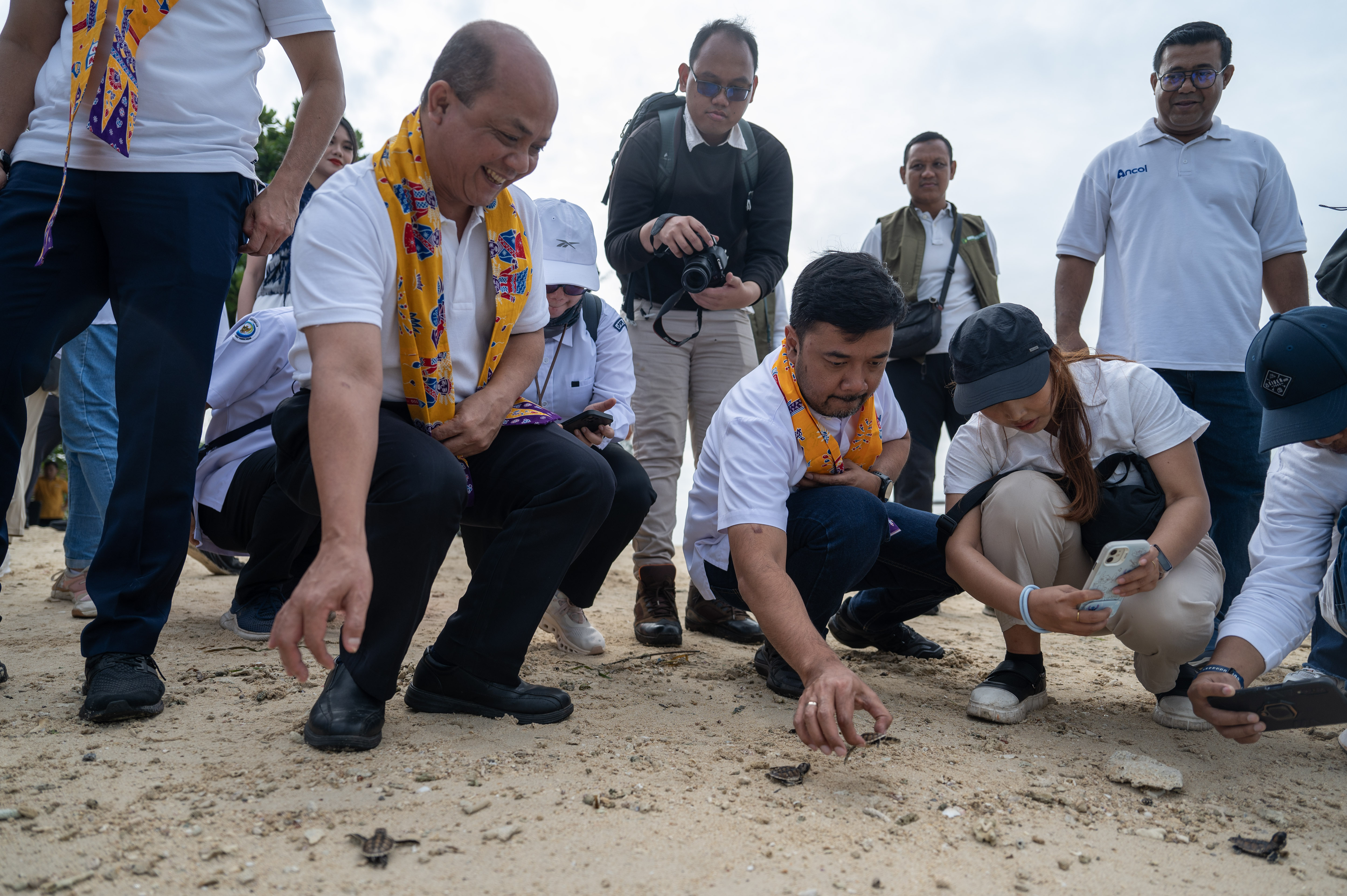 Pelepasliaran Tukik Penyu Sisik di Pulau Bidadari - Seribu Tukik Sejuta Harapan